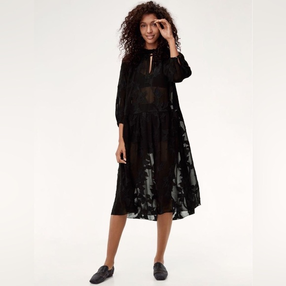 Aritzia Wilfred Dufour Ruffle Dress floral whimsigoth sheer unconventional lace - Picture 14 of 14